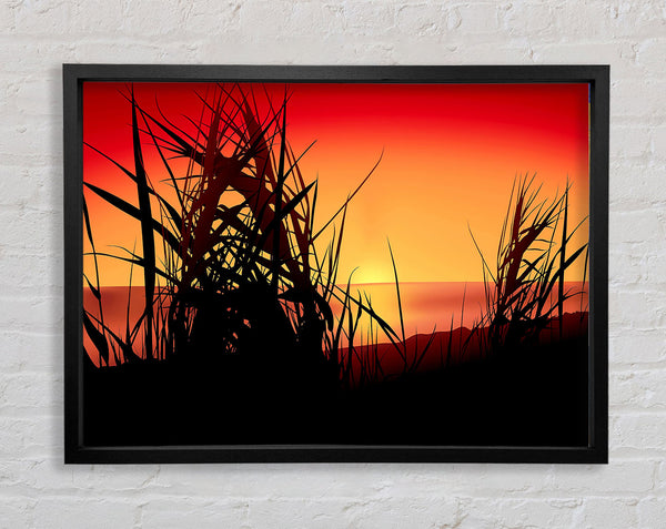 The Sunset Reeds