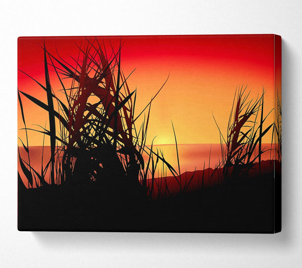 The Sunset Reeds