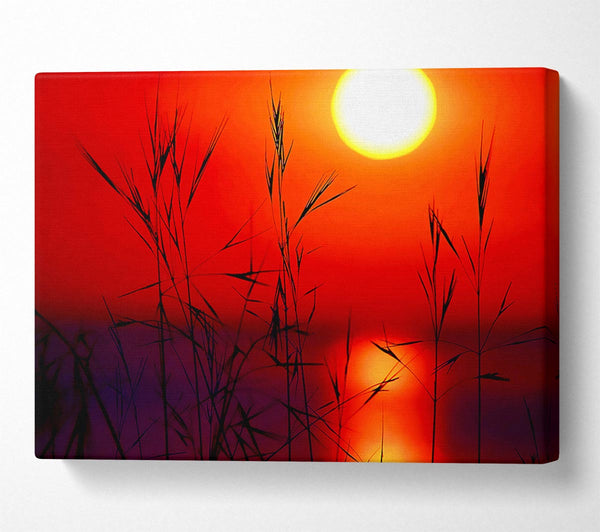 Sun Through The Red Reeds