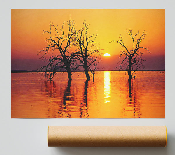 Trees In The Ocean