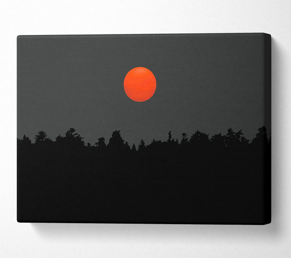 The Red Sun Over The Grey Treeline