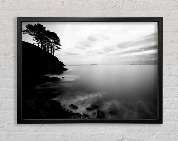 Tree Top Ocean Calm B n W