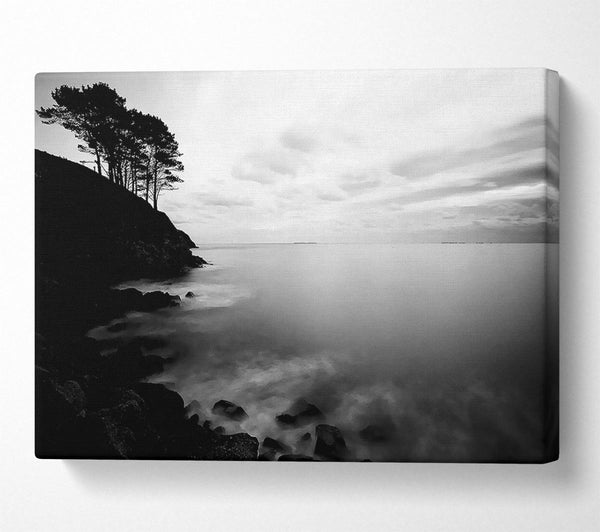 Tree Top Ocean Calm B n W