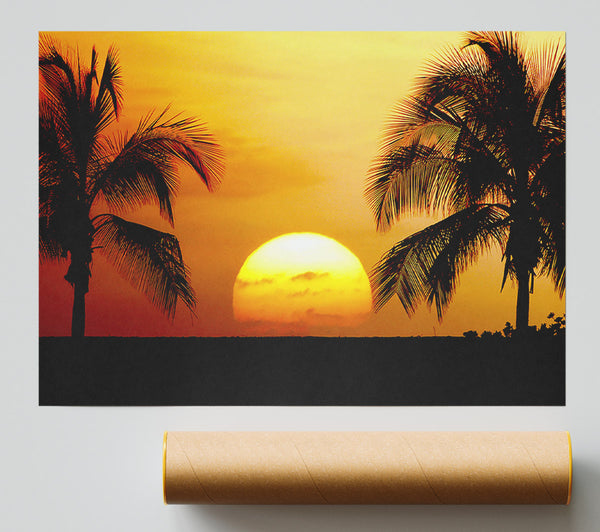 Palmtree Sunset