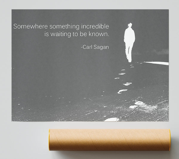 Carl Sagan Somewhere Something Grey