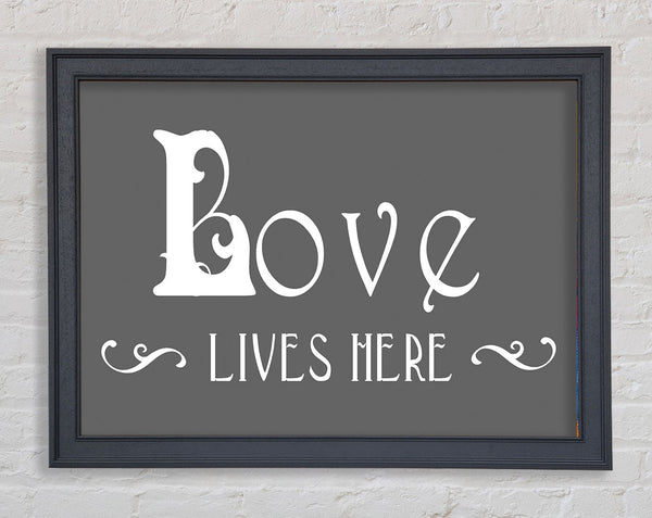 Love Quote Love Lives Here Vines Grey