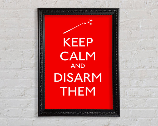 Keep Calm Disarm Them