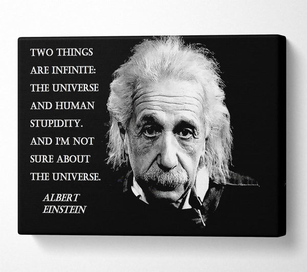 Motivational Quote Albert Einstein The Universe