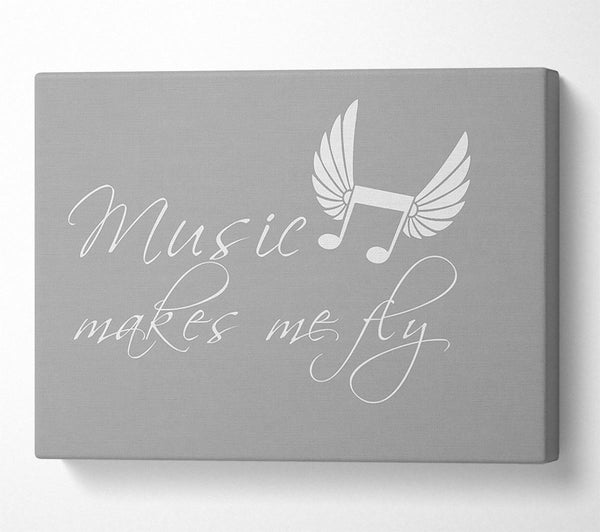 Boys room Quote Music Makes Me Fly Grey White