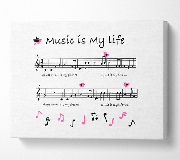 Music Is My Life White