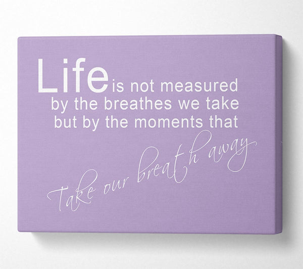 Life Is Not Measured Lilac