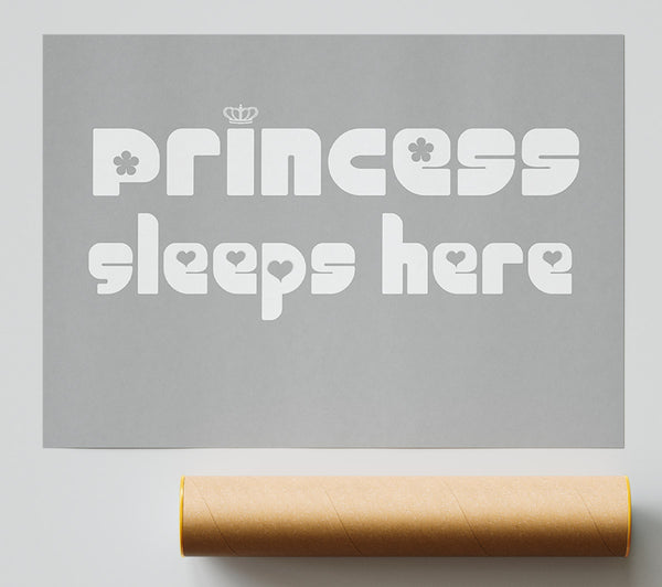 Princess Sleeps 2 Grey White