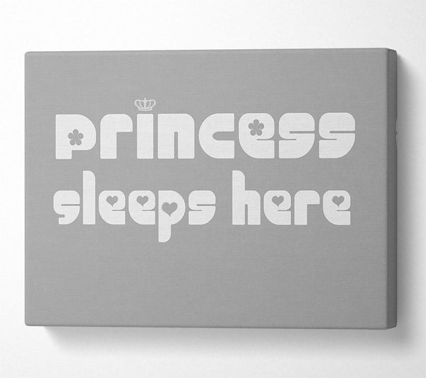 Princess sleeps 2 Grey White