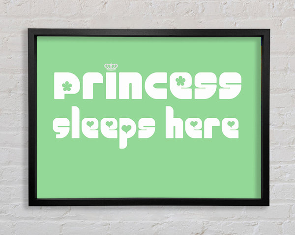 Nursery Quote Princess sleeps 2 Green