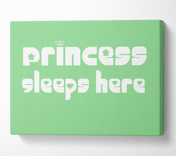 Nursery Quote Princess sleeps 2 Green