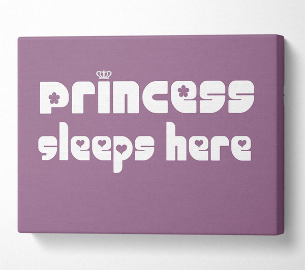 Princess sleeps 2 Dusty Pink