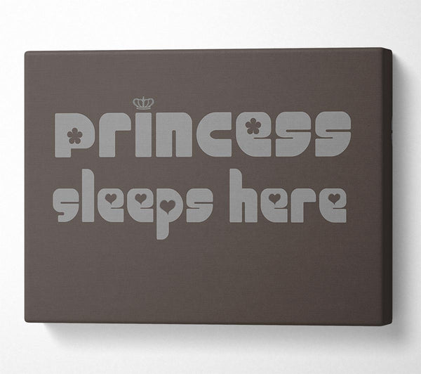 Princess sleeps 2 Chocolate