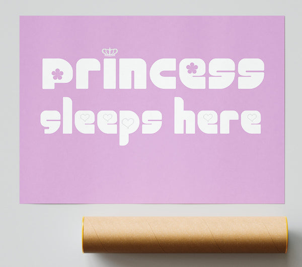 Princesss Sleeps Here 2 Pink