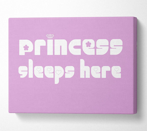 Princesss Sleeps Here 2 Pink