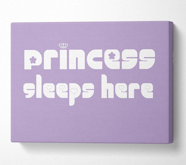 Princesss Sleeps Here 2 Lilac