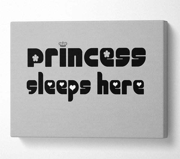 Princesss Sleeps Here 2 Grey