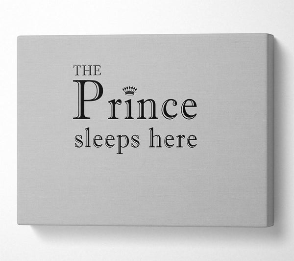 Boys room Quote The Prince Sleeps Here Grey