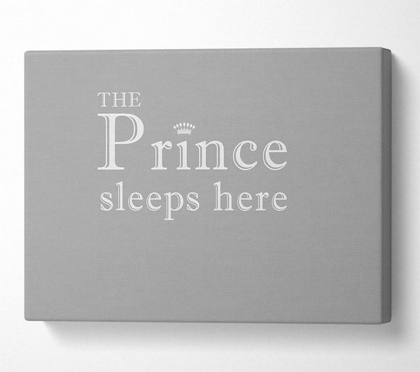 Boys room Quote The Prince Sleeps Here Grey White