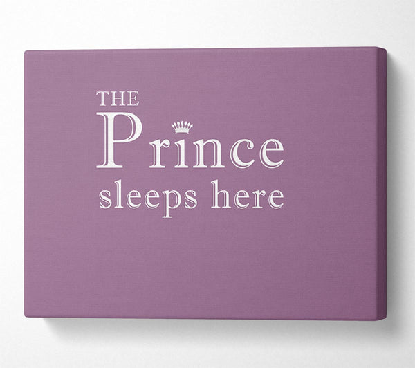 Boys room Quote The Prince Sleeps Here Dusty Pink