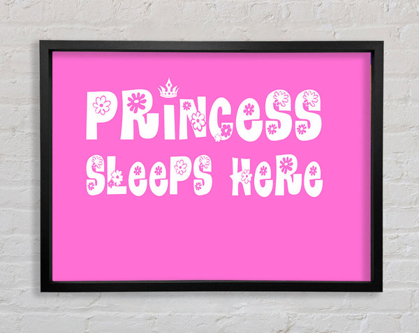 Nursery Quote Princesss Sleeps Here Vivid Pink