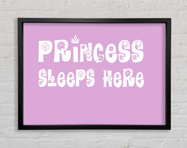 Princesss Sleeps Here Pink