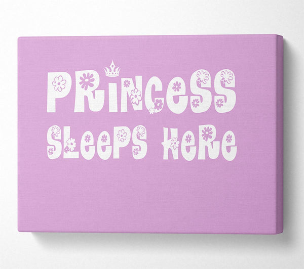 Princesss Sleeps Here Pink