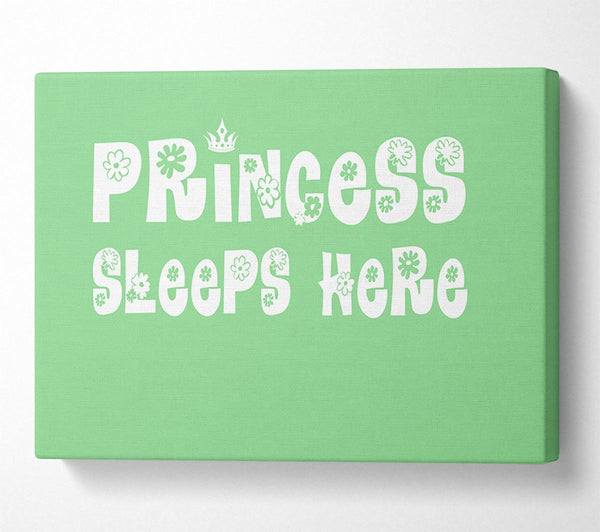 Princesss Sleeps Here Green