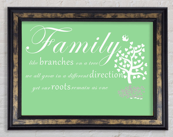 Family Quote Family Like Branches On A Tree Green