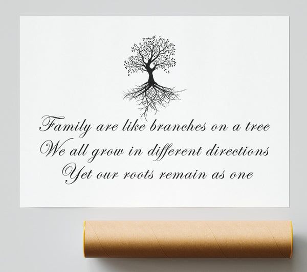 Family Quote Family Are Like Branches White