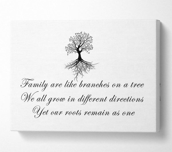 Family Quote Family Are Like Branches White