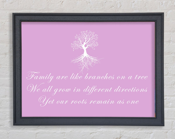 Family Quote Family Are Like Branches Pink