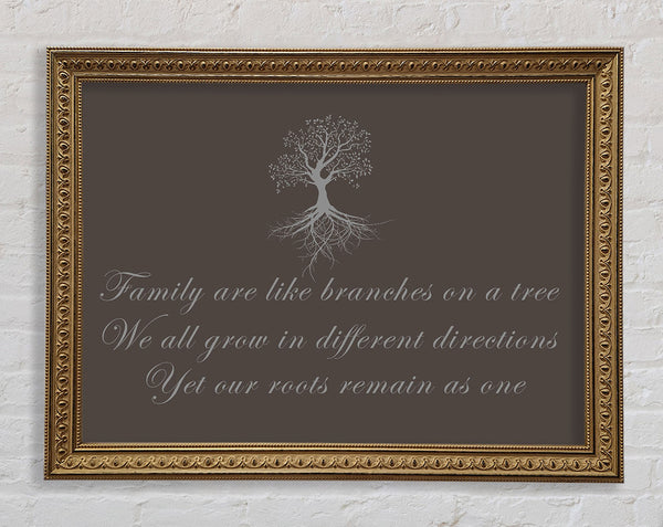 Family Quote Family Are Like Branches Chocolate