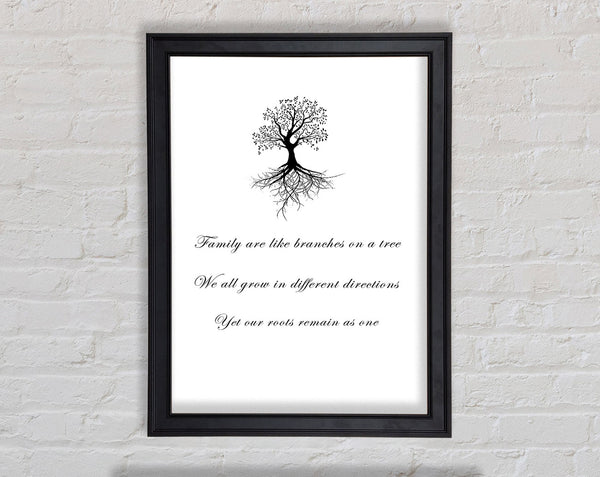 Family Quote Family Are Like Branches 2 White