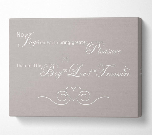 Boys Quote No Joys On Earth Bring Pleasure Beige