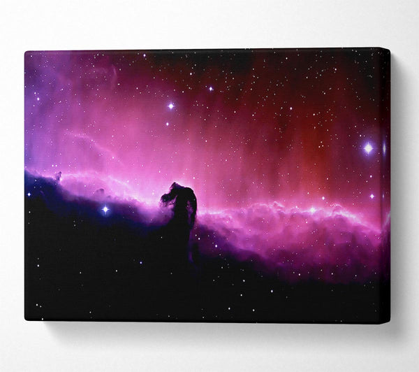 Pink Horsehead Nebula