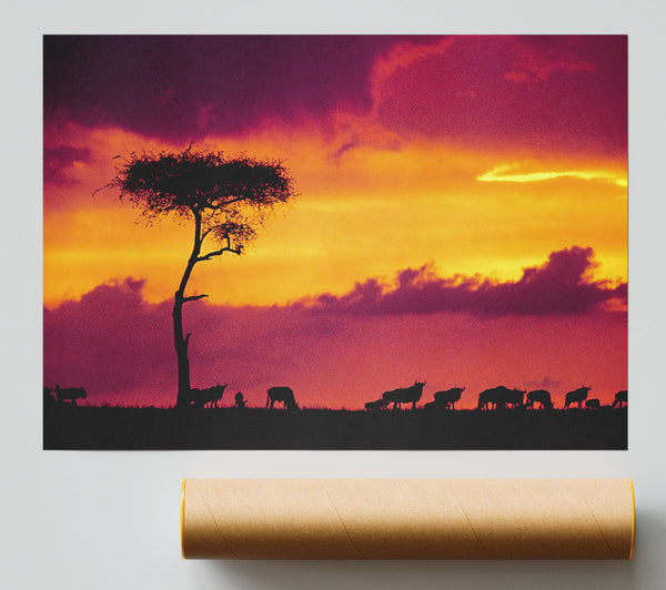 African Safari Sunset