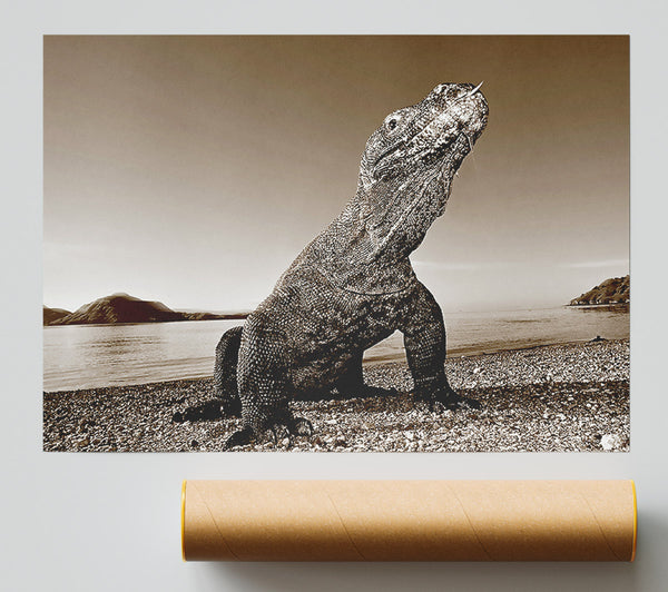 Beach Komodo Dragon