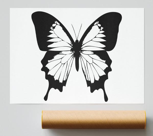 Black And White Butterfly Wings