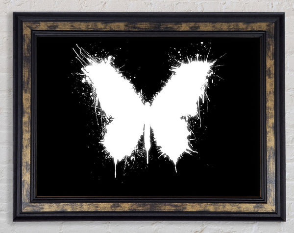 Black And White Butterfly