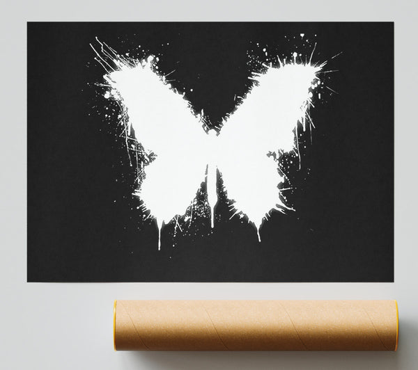 Black And White Butterfly