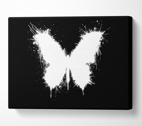 Black And White Butterfly