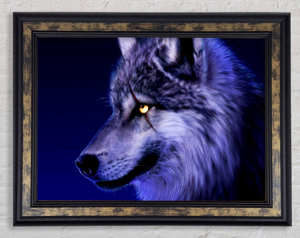 Blue Wolf Eye