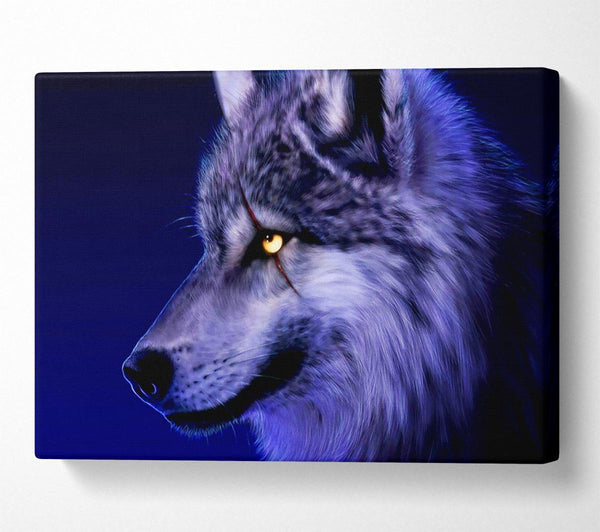 Blue Wolf Eye