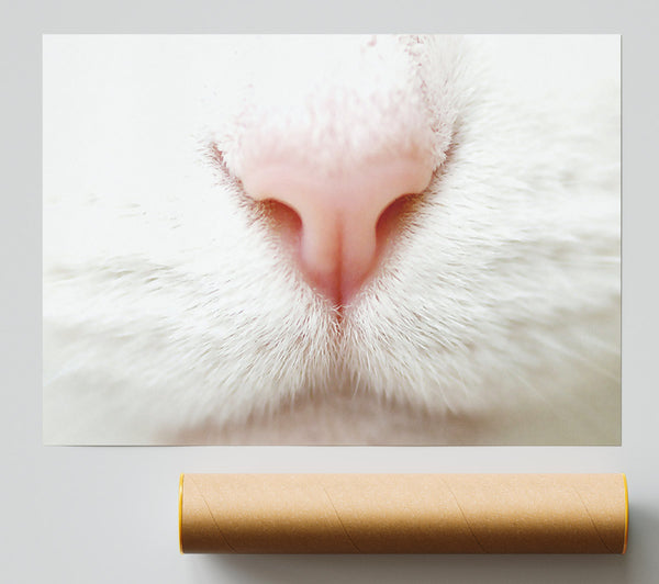 Cat Nose 2