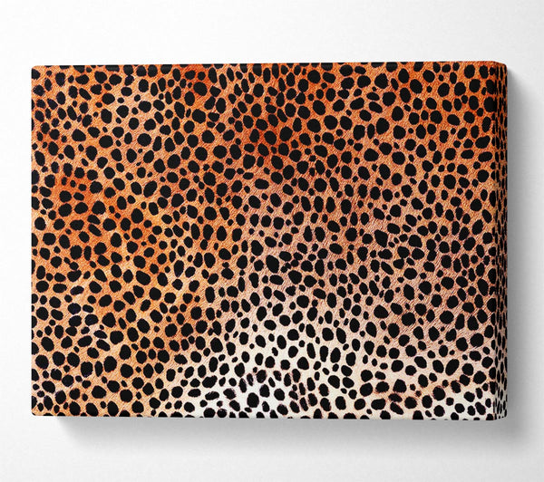 Cheetah Skin